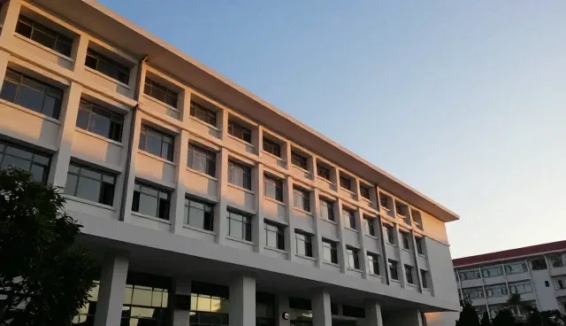 商品采购支持系统如何适应新型零售趋势